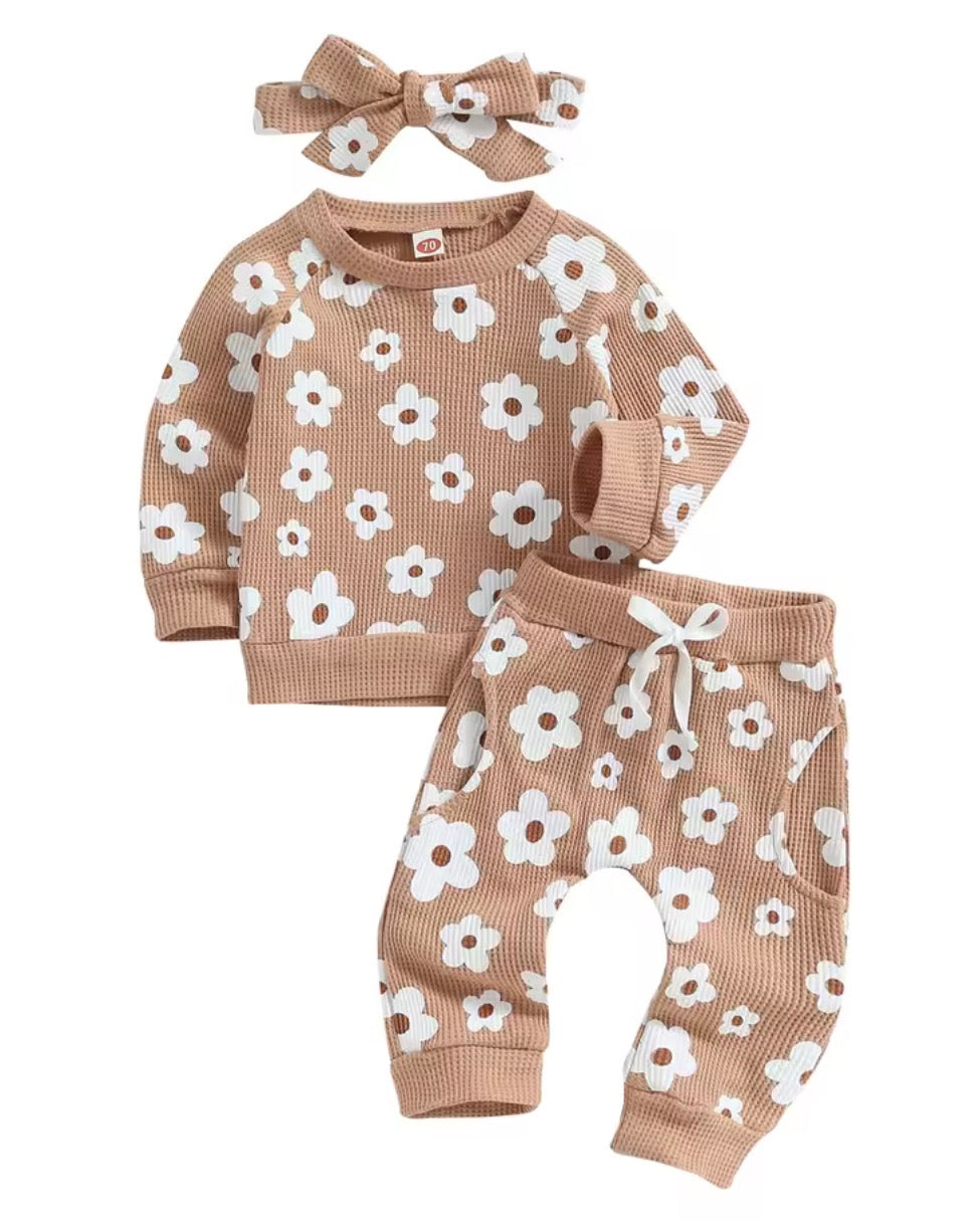 Neutral Daisy Set